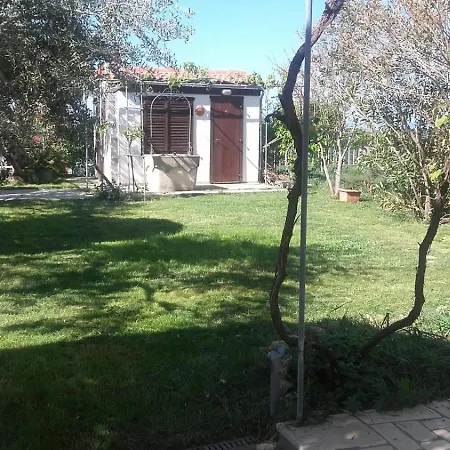 Apartment In Rab With Seaview, Balcony, Wifi, Washing Machine Palit